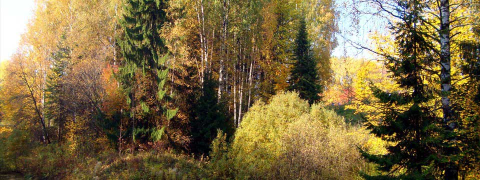 Autumn landscape : jQuery Picture Slideshow