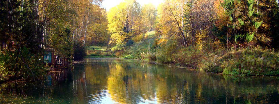 Forest lake : jQuery Picture Gallery
