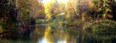 Forest lake