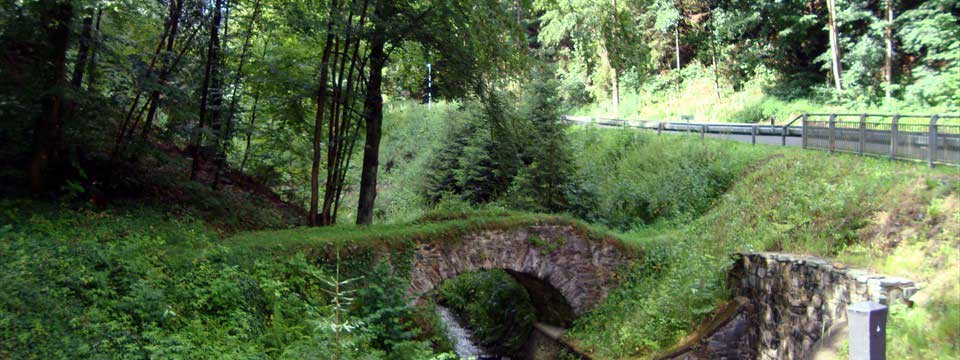 Beautiful nature