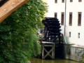 Mill-wheel