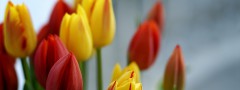 Little Deeds : jQuery Vertical Image Slider