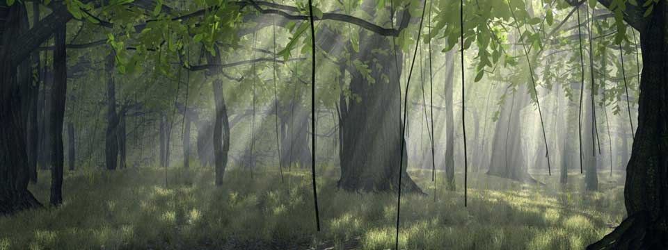 Swamp in the woods : Horizontal Div Slider jQuery