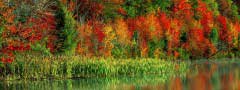 Beauty spot : jQuery Ui Div Slider