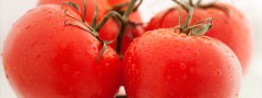 Fruit or Veg : Jquery Ken Burns