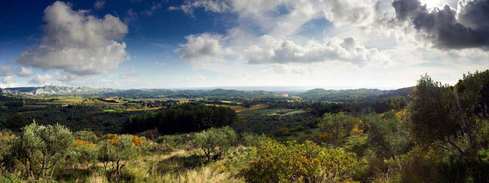 provence : jQuery Auto Image Slider