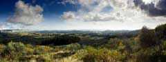 provence : Simple Image Slider