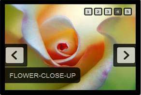  CSS Image Slider Gallery Digit Stack Vertaical Demo