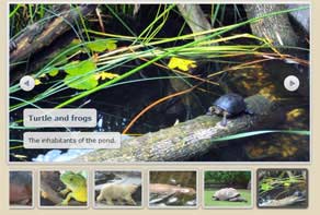 Jquery banner rotator Catalyst Fade Demo