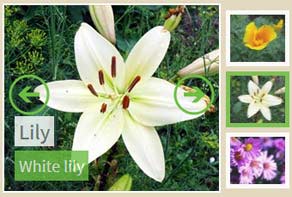 Online Photo Slideshow Balance Blast Demo