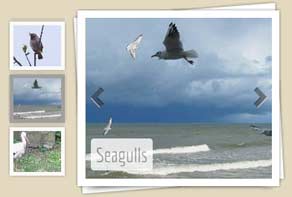 jQuery Carousel Vernisage Stack vertical Demo