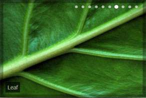 CSS Image Slider Tutorial Fade Basic Linear Demo