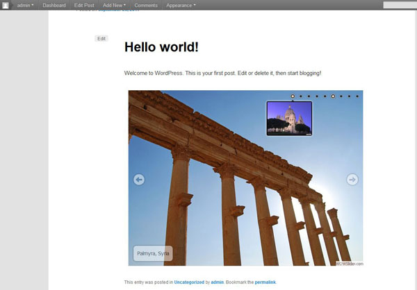 Wordpress preview